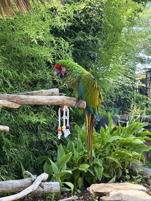 Abilene Zoo by null
