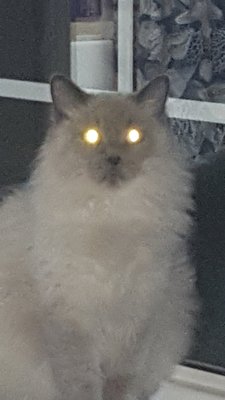 Halls Roofing and Remodeling