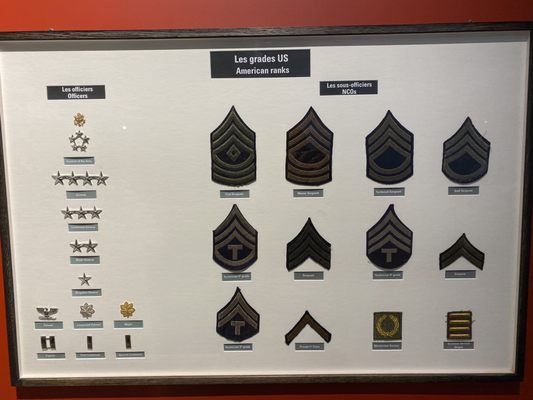 Museum of the Battle of Normandy by null