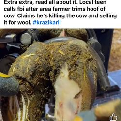 Kenwood Farms