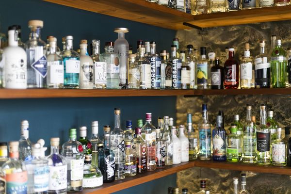 The Gin Library - The Worlds Largest Gin Collection by null