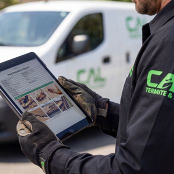 Cal Termite and Pest Control - Pest Control Near Me - Ventura, California Cal Termite and Pest Control - Pest Control Near Me - Ventura, California