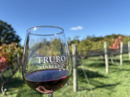 Truro Vineyards by null