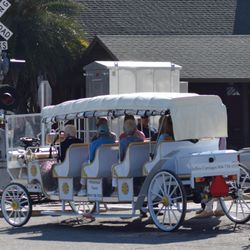 Jeffers Carriages - Take a horseless carriage ride with your friends on Amelia Island