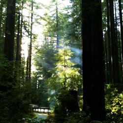 Florence Keller Regional Park