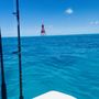 Photo of Blue Arrow Charters