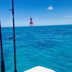 Blue Arrow Charters