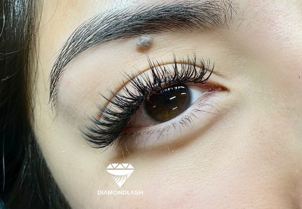 Diamond Lash Beauty  Logo