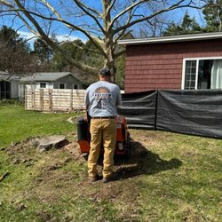 Lakeview Stump Removal