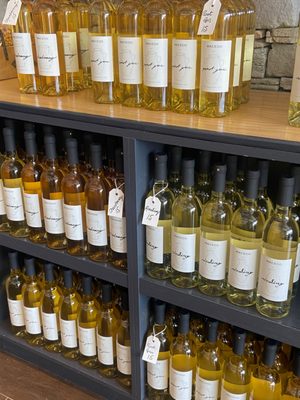Macedo Winery by null
