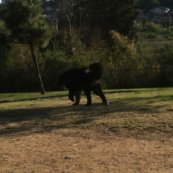 Rancho Bernardo Community Park - A Saint Bernard - Dog Parks Near Me - San Diego, California