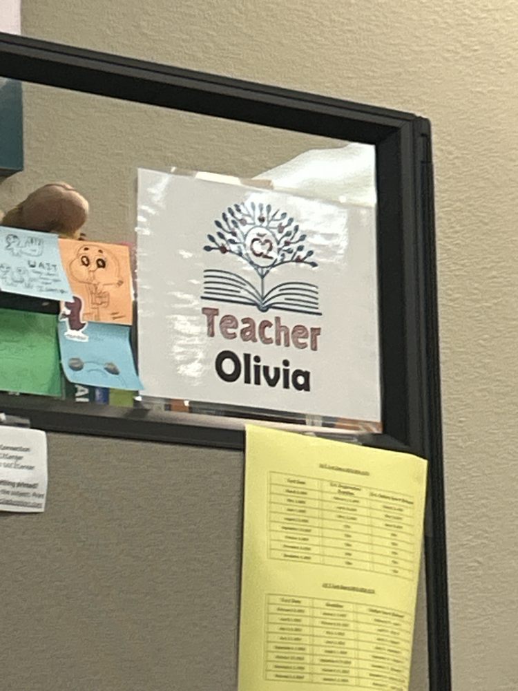 C2 Education of Yorba Linda - reading tutor in Yorba Linda, CA