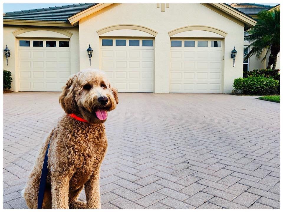 Garage Force One - veterans service organization in Longwood, FL