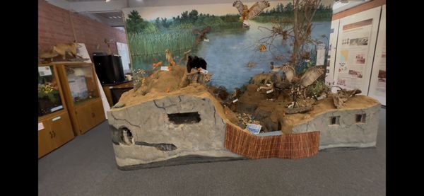 Shipley Nature Center by null