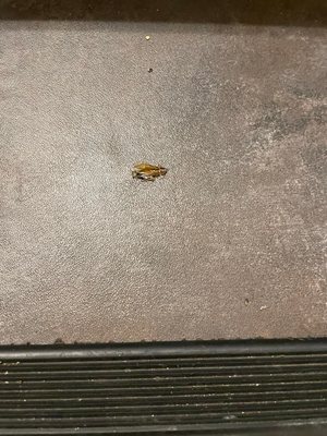 The Yards at Union Station by null