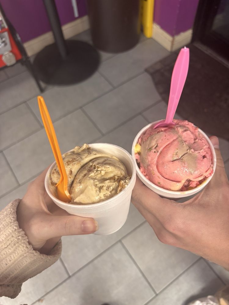 La michoacanita Ice Cream Logo