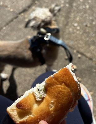 The Chewish Deli by null