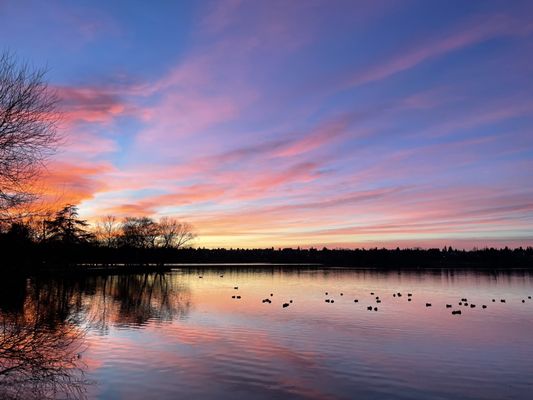 Green Lake Park by null