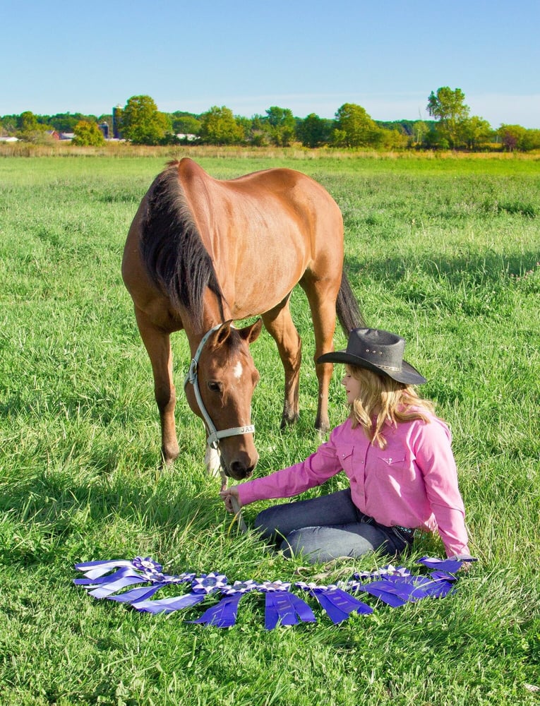 San Lue Arabians horse boarding - equestrian in Carleton, MI