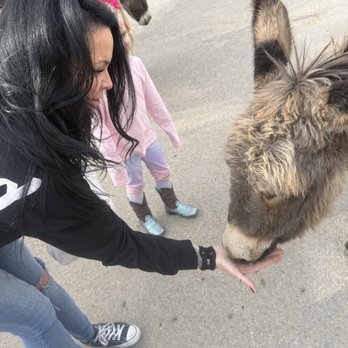 Town of Oatman - Local Flavor Near Me
