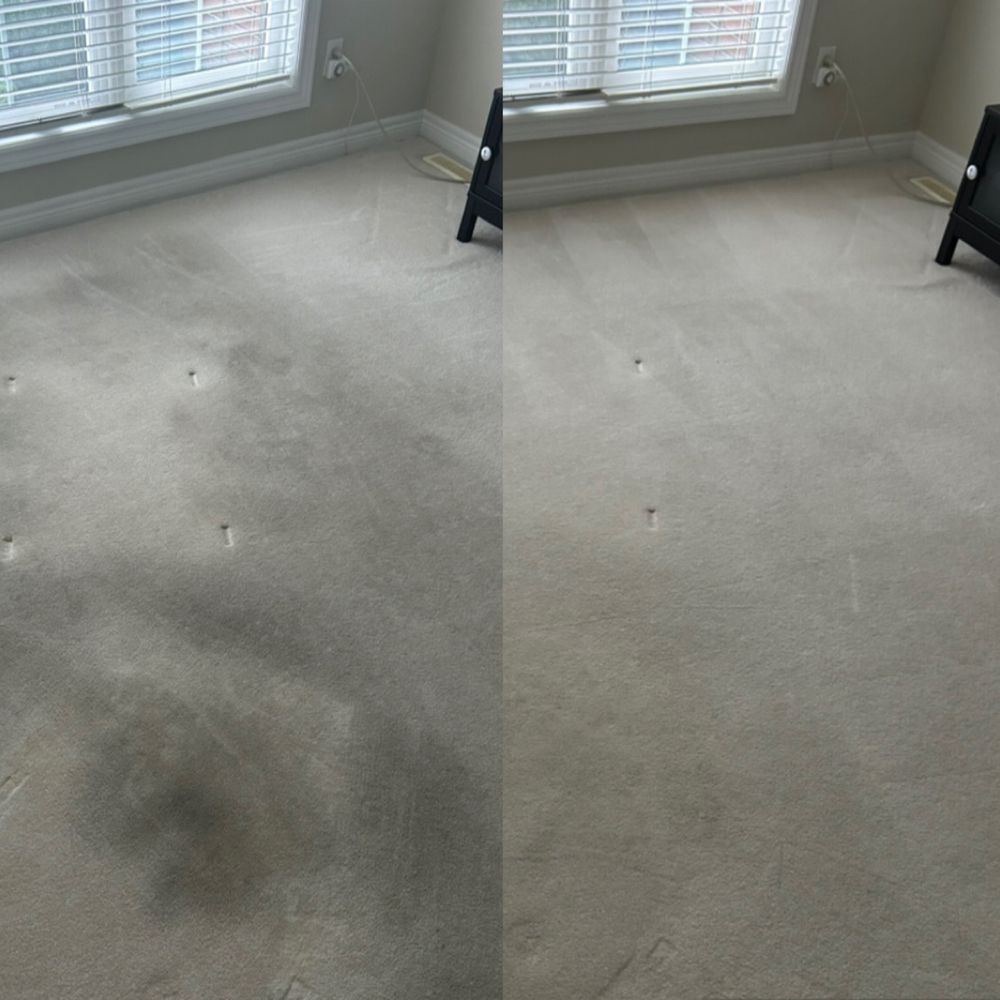 TOP 10 BEST Rugs in London, ON - Updated 2026 - Yelp