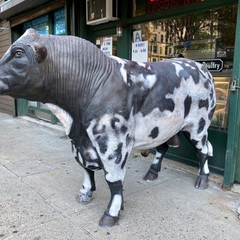 Schatzie Prime Meats - This gets your attention so go in for old school butcher service! 10/26/21 - Butcher Near Me - New York, New York