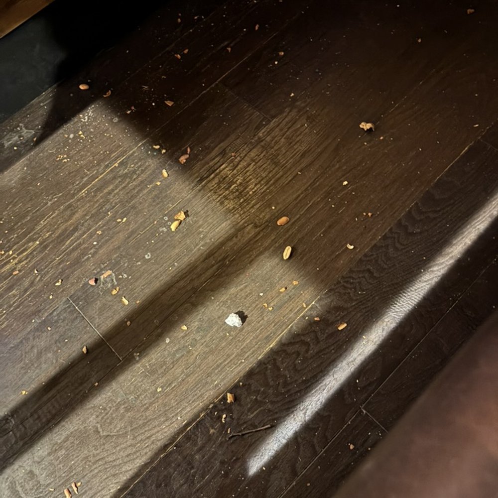 Colton's Steakhouse & Grill - Food on the floor around the tables - American Near Me - Van Buren, Arkansas Colton's Steakhouse & Grill - Food on the floor around the tables - American Near Me - Van Buren, Arkansas