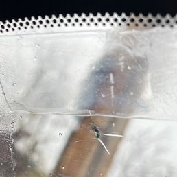 Windshield chip before repair Windshield chip before repair