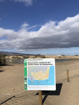 Dunas de Maspalomas by null