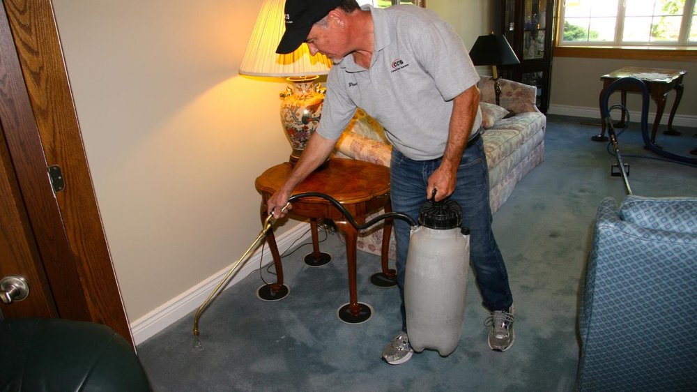 CARPET CARE SOLUTION Updated May 2024 110 Photos 2981 Arvida