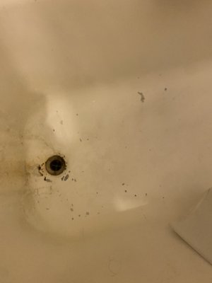 Hotel del Flores by null