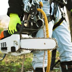 JL Tree Care Services