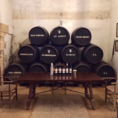 Bodegas Tradicion by null