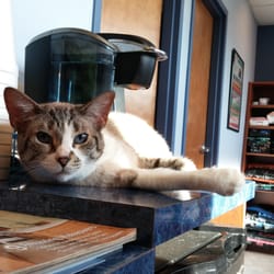 Lakewood Animal Clinic - Loving life at Lakewood!  And Freckles is looking happy, too!