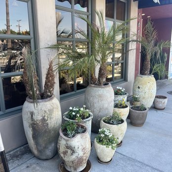 Bacari - Outside Decor - Mediterranean Near Me - Long Beach, California Bacari - Outside Decor - Mediterranean Near Me - Long Beach, California