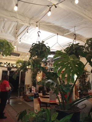 The Plant Outpost by null