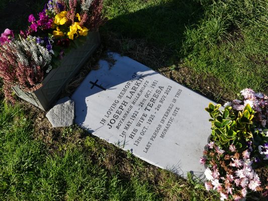 Clonmacnoise Monastic Site by null