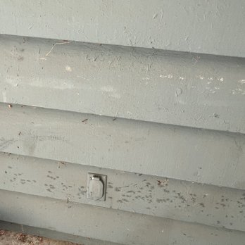 EcoShield Pest Solutions - Pest Control Near Me - Tukwila, Washington EcoShield Pest Solutions - Pest Control Near Me - Tukwila, Washington