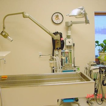 Petcetera Animal Clinic 28 Photos Veterinarians 1150 40th Ave S Grand Forks Nd Phone Number Yelp