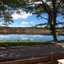 Photo of Altnacealgach Motel