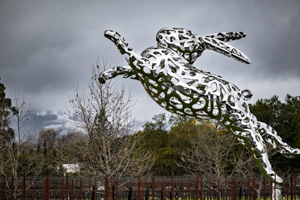 HALL Wines St. Helena by null