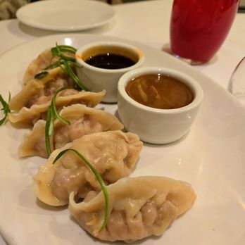 Santacafé - Pork dumplings, so good - Cafes Near Me - Santa Fe, New Mexico