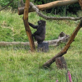 ZSL London Zoo - Zoos Near Me - London, XGL ZSL London Zoo - Zoos Near Me - London, XGL