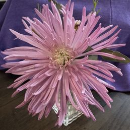 Beautiful flower on our table, where we enjoyed our wonderful meal!!