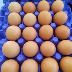 Freshly laid extra large eggs. Orders available for pickup or delivery.