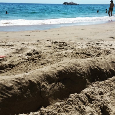 Singing Beach by null