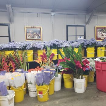 Downey Rose Float Association - Community Service/Non-Profit Near Me Downey Rose Float Association - Community Service/Non-Profit Near Me