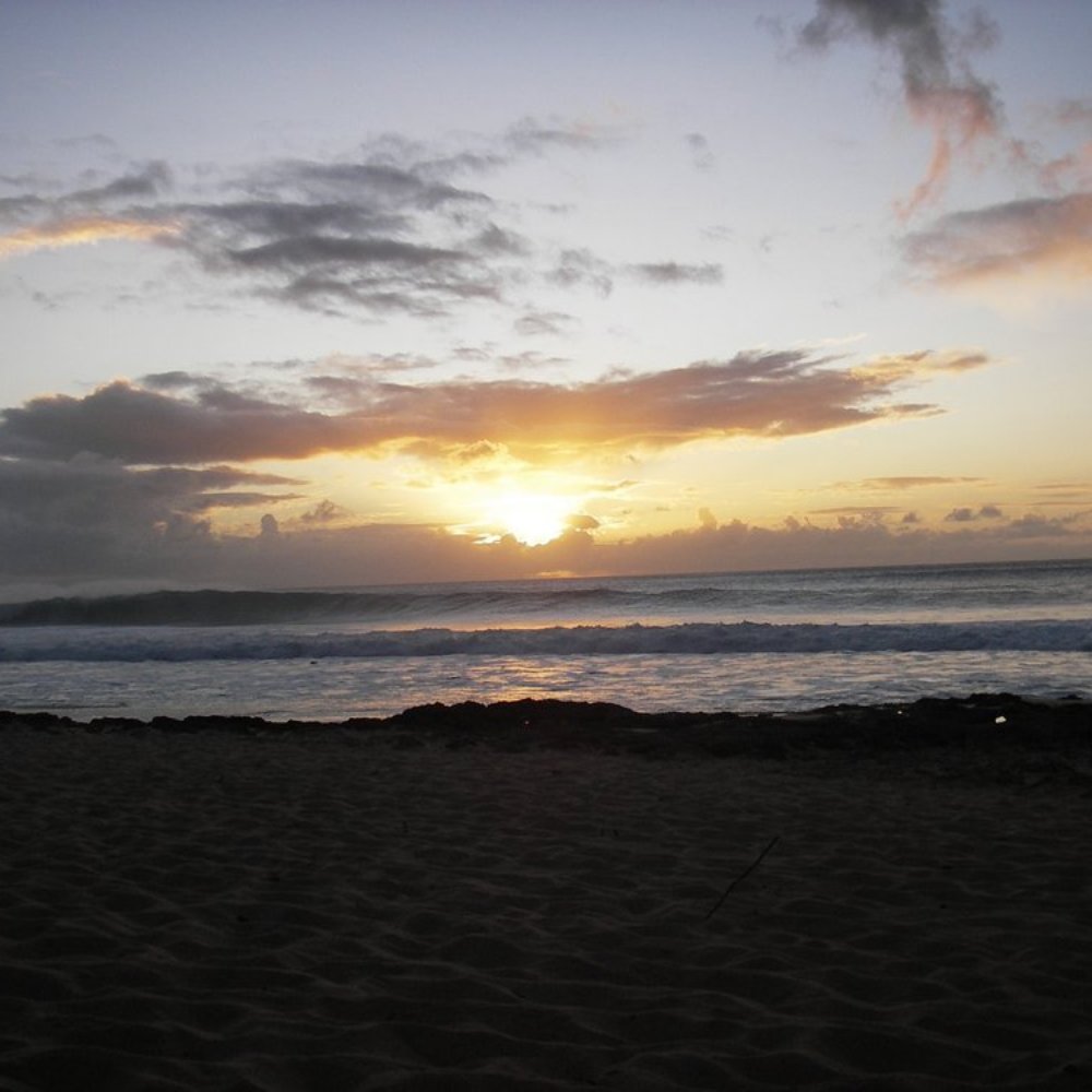 Ehukai Beach Park - Parks Near Me - Haleiwa, Hawaii Ehukai Beach Park - Parks Near Me - Haleiwa, Hawaii