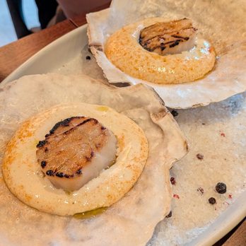 Oriana - Scallop - $26 each - American Near Me - New York, New York Oriana - Scallop - $26 each - American Near Me - New York, New York