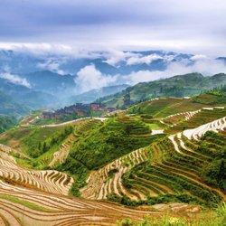 Passport Health Pleasanton Travel Clinic - Global leader in travel medicine. Visit https://www.passporthealthusa.com